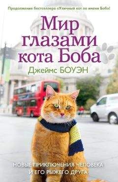 Читайте книги онлайн на Bookidrom.ru! Бесплатные книги в одном клике Джеймс Боуэн - Мир глазами кота Боба. Новые приключения человека и его рыжего друга