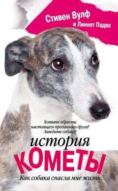 Читайте книги онлайн на Bookidrom.ru! Бесплатные книги в одном клике Стивен Вулф - История Кометы. Как собака спасла мне жизнь