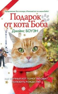 Читайте книги онлайн на Bookidrom.ru! Бесплатные книги в одном клике Джеймс Боуэн - Подарок от кота Боба. Как уличный кот помог человеку полюбить Рождество