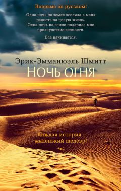 Читайте книги онлайн на Bookidrom.ru! Бесплатные книги в одном клике Эрик-Эмманюэль Шмитт - Ночь огня