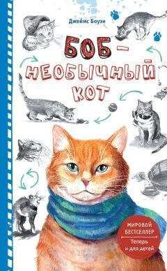 Читайте книги онлайн на Bookidrom.ru! Бесплатные книги в одном клике Джеймс Боуэн - Боб – необычный кот