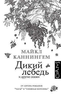 Читайте книги онлайн на Bookidrom.ru! Бесплатные книги в одном клике Майкл Каннингем - Дикий лебедь и другие сказки