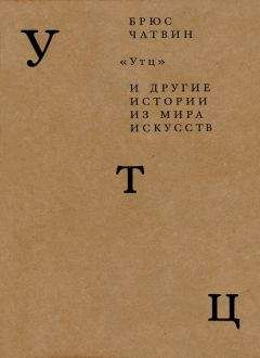 Читайте книги онлайн на Bookidrom.ru! Бесплатные книги в одном клике Брюс Чатвин - «Утц» и другие истории из мира искусств