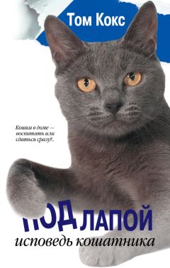 Читайте книги онлайн на Bookidrom.ru! Бесплатные книги в одном клике Том Кокс - Под лапой. Исповедь кошатника