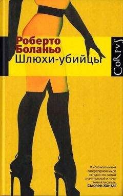 Читайте книги онлайн на Bookidrom.ru! Бесплатные книги в одном клике Роберто Боланьо - Буба