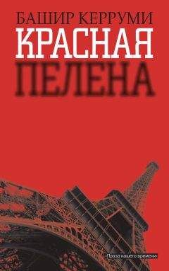 Читайте книги онлайн на Bookidrom.ru! Бесплатные книги в одном клике Башир Керруми - Красная пелена