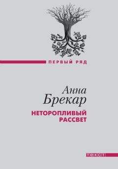 Читайте книги онлайн на Bookidrom.ru! Бесплатные книги в одном клике Анна Брекар - Неторопливый рассвет