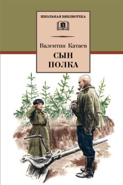 Читайте книги онлайн на Bookidrom.ru! Бесплатные книги в одном клике Валентин Катаев - Сын полка