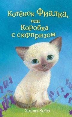 Читайте книги онлайн на Bookidrom.ru! Бесплатные книги в одном клике Холли Вебб - Котёнок Фиалка, или Коробка с сюрпризом