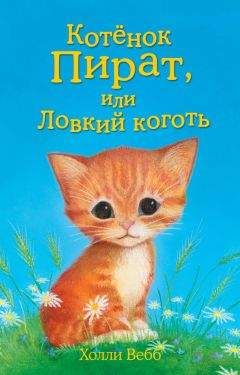 Читайте книги онлайн на Bookidrom.ru! Бесплатные книги в одном клике Холли Вебб - Котёнок Пират, или Ловкий коготь