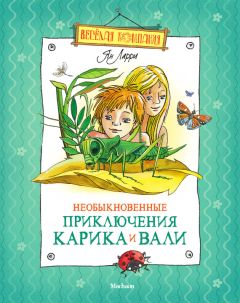 Читайте книги онлайн на Bookidrom.ru! Бесплатные книги в одном клике Ян Ларри - Необыкновенные приключения Карика и Вали