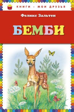 Читайте книги онлайн на Bookidrom.ru! Бесплатные книги в одном клике Феликс Зальтен - Бемби