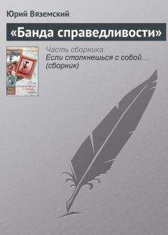 Читайте книги онлайн на Bookidrom.ru! Бесплатные книги в одном клике Юрий Вяземский - «Банда справедливости»