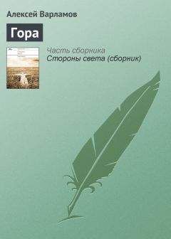 Читайте книги онлайн на Bookidrom.ru! Бесплатные книги в одном клике Алексей Варламов - Гора