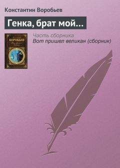 Читайте книги онлайн на Bookidrom.ru! Бесплатные книги в одном клике Константин Воробьев - Генка, брат мой…