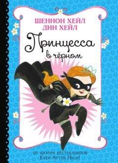 Читайте книги онлайн на Bookidrom.ru! Бесплатные книги в одном клике Шеннон Хейл - Принцесса-в-Чёрном