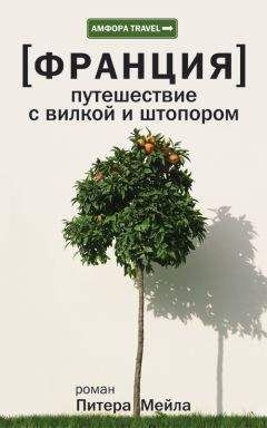 Читайте книги онлайн на Bookidrom.ru! Бесплатные книги в одном клике Питер Мейл - Путешествие с вилкой и штопором