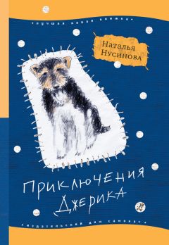 Читайте книги онлайн на Bookidrom.ru! Бесплатные книги в одном клике Наталья Нусинова - Приключения Джерика