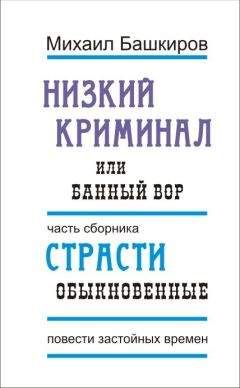 Михаил Башкиров - Низкий криминал, или Банный вор