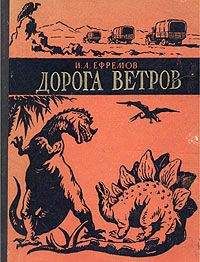 Читайте книги онлайн на Bookidrom.ru! Бесплатные книги в одном клике Иван Ефремов - Дорога ветров