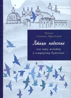 Читайте книги онлайн на Bookidrom.ru! Бесплатные книги в одном клике Монах Афонский - Птицы небесные. 3-4 части