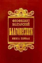 Читайте книги онлайн на Bookidrom.ru! Бесплатные книги в одном клике Феофилакт Болгарский - Толкование на книги Нового Завета