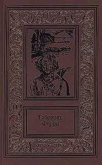 Читайте книги онлайн на Bookidrom.ru! Бесплатные книги в одном клике Габриэль Ферри - Лесной бродяга