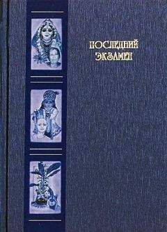 Читайте книги онлайн на Bookidrom.ru! Бесплатные книги в одном клике Александр Хакимов - Последний экзамен