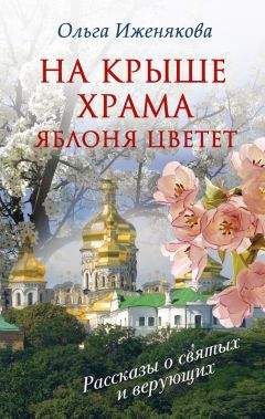 Читайте книги онлайн на Bookidrom.ru! Бесплатные книги в одном клике Ольга Иженякова - На крыше храма яблоня цветет (сборник)