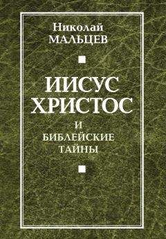 Читайте книги онлайн на Bookidrom.ru! Бесплатные книги в одном клике Николай Мальцев - Иисус Христос и библейские тайны
