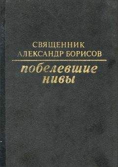 Читайте книги онлайн на Bookidrom.ru! Бесплатные книги в одном клике Александр Борисов - Побелевшие нивы