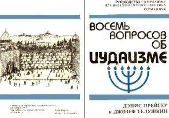 Читайте книги онлайн на Bookidrom.ru! Бесплатные книги в одном клике Денис Прейгер - Восемь вопросов об иудаизме