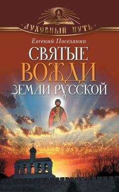 Читайте книги онлайн на Bookidrom.ru! Бесплатные книги в одном клике Евгений Поселянин - Святые вожди земли русской