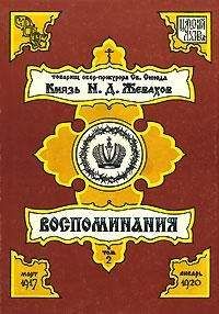 Читайте книги онлайн на Bookidrom.ru! Бесплатные книги в одном клике Николай Жевахов - Воспоминания. Том 2. Март 1917 – Январь 1920