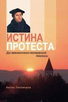Читайте книги онлайн на Bookidrom.ru! Бесплатные книги в одном клике Антон Тихомиров - Истина протеста. Дух евангелическо-лютеранской теологии