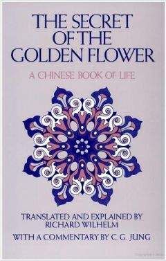 Читайте книги онлайн на Bookidrom.ru! Бесплатные книги в одном клике Лю Цу - Тай И Чин Хуа Пунг Чин (Тайны золотого цветка)