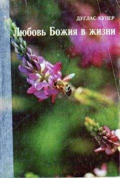 Читайте книги онлайн на Bookidrom.ru! Бесплатные книги в одном клике Дуглас Купер - Любовь Божия в жизни