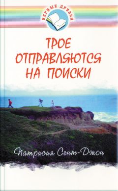 Читайте книги онлайн на Bookidrom.ru! Бесплатные книги в одном клике Патрисия Сент-Джон - Трое отправляются на поиски