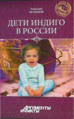 Читайте книги онлайн на Bookidrom.ru! Бесплатные книги в одном клике Геннадий Белимов - Дети-индиго в России: Вундеркинды третьего тысячелетия