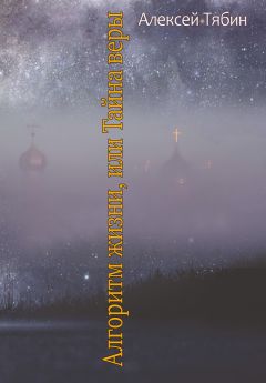 Читайте книги онлайн на Bookidrom.ru! Бесплатные книги в одном клике Алексей Тябин - Алгоритм жизни, или Тайна веры