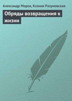 Читайте книги онлайн на Bookidrom.ru! Бесплатные книги в одном клике Александр Морок - Обряды возвращения к жизни