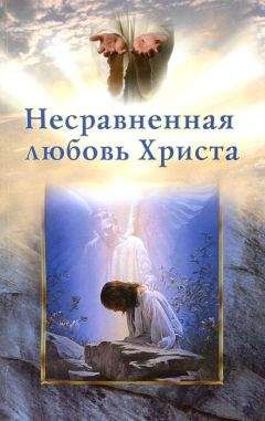 Читайте книги онлайн на Bookidrom.ru! Бесплатные книги в одном клике Рой Андерсон - Несравненная любовь Христа