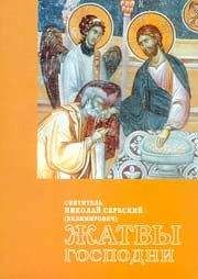Читайте книги онлайн на Bookidrom.ru! Бесплатные книги в одном клике Николай Сербский (Велимирович) - Жатвы Господни