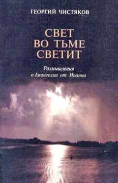 Читайте книги онлайн на Bookidrom.ru! Бесплатные книги в одном клике Георгий Чистяков - Размышления о Евангелии от Иоанна