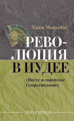 Читайте книги онлайн на Bookidrom.ru! Бесплатные книги в одном клике Хаям Маккоби - Революция в Иудее (Иисус и еврейское Сопротивление)