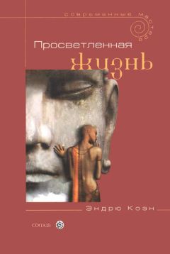 Читайте книги онлайн на Bookidrom.ru! Бесплатные книги в одном клике Эндрю Коэн - Просветленная жизнь
