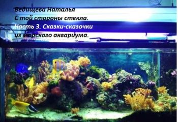 Читайте книги онлайн на Bookidrom.ru! Бесплатные книги в одном клике Наталья Ведищева - Сказки-сказочки