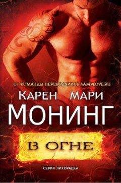 Читайте книги онлайн на Bookidrom.ru! Бесплатные книги в одном клике Карен Монинг - В огне