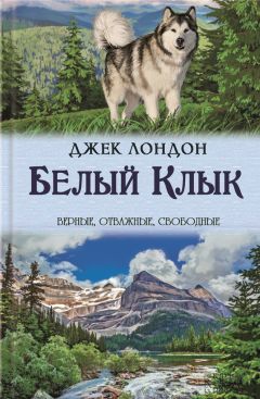 Читайте книги онлайн на Bookidrom.ru! Бесплатные книги в одном клике Джек Лондон - Белый Клык. Зов предков