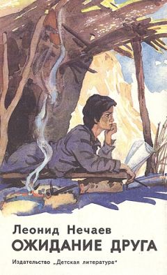 Читайте книги онлайн на Bookidrom.ru! Бесплатные книги в одном клике Леонид Нечаев - Ожидание друга, или признания подростка